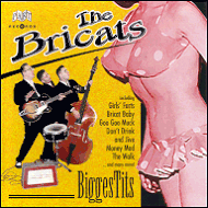 The Bricats - Biggestits PT628002